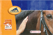 Logo_Cavalor2